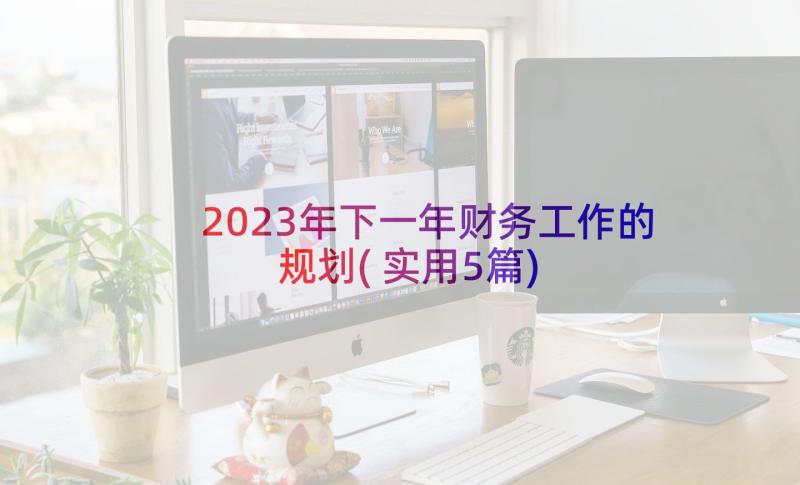 2023年下一年财务工作的规划(实用5篇)