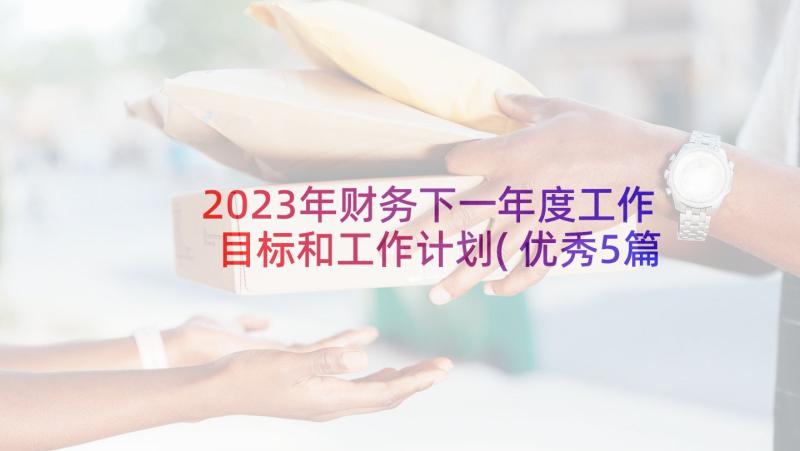 2023年财务下一年度工作目标和工作计划(优秀5篇)