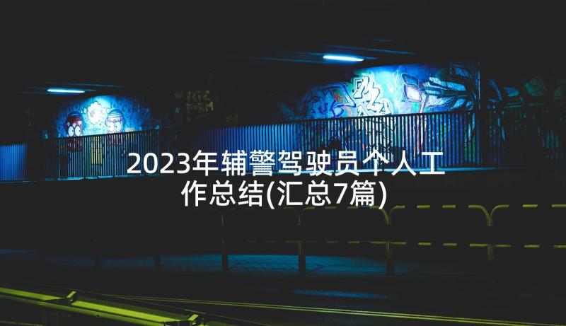 2023年辅警驾驶员个人工作总结(汇总7篇)