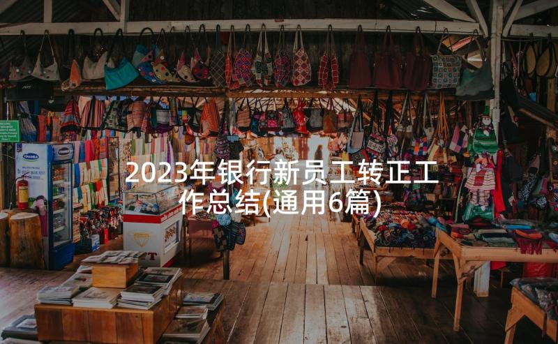 2023年银行新员工转正工作总结(通用6篇)