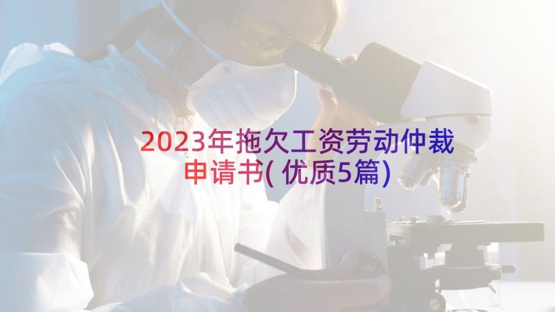 2023年拖欠工资劳动仲裁申请书(优质5篇)