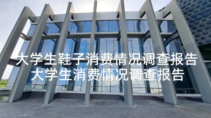 大学生鞋子消费情况调查报告 大学生消费情况调查报告(汇总9篇)