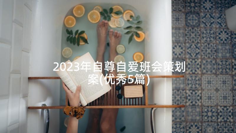 2023年自尊自爱班会策划案(优秀5篇)