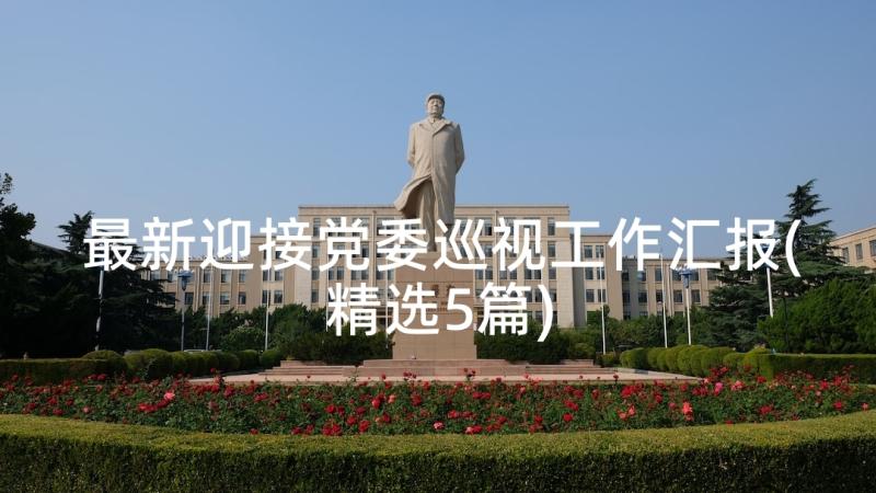 最新迎接党委巡视工作汇报(精选5篇)