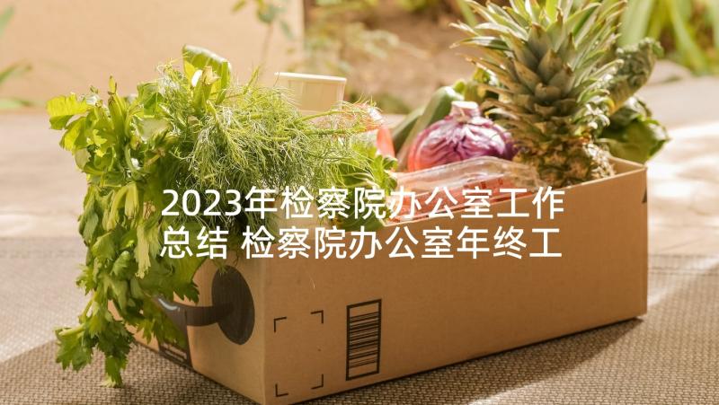 2023年检察院办公室工作总结 检察院办公室年终工作总结(优质5篇)