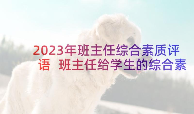 2023年班主任综合素质评语 班主任给学生的综合素质评子(实用8篇)