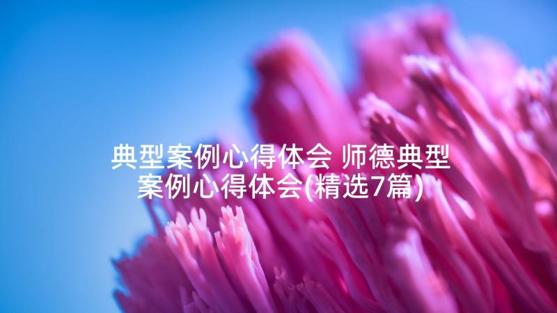 典型案例心得体会 师德典型案例心得体会(精选7篇)