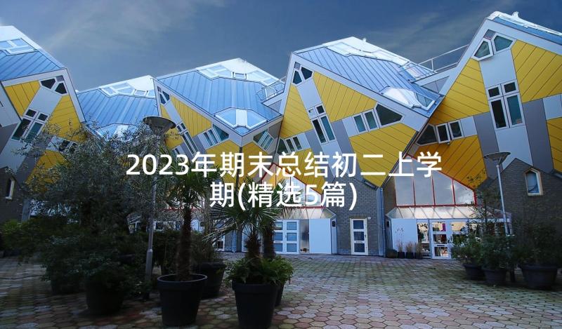 2023年期末总结初二上学期(精选5篇)