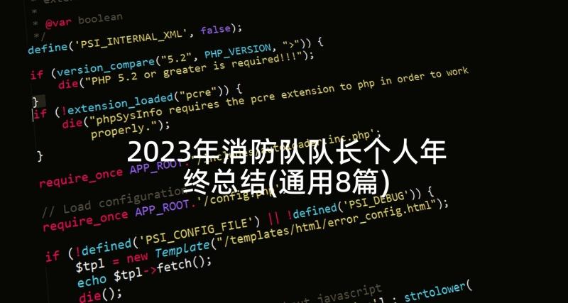 2023年消防队队长个人年终总结(通用8篇)