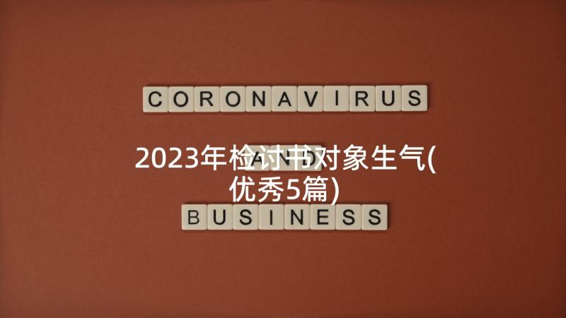 2023年检讨书对象生气(优秀5篇)