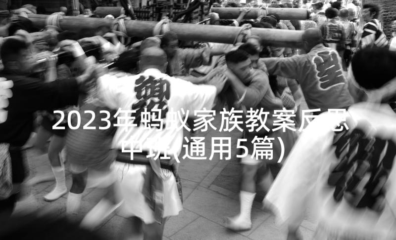 2023年蚂蚁家族教案反思中班(通用5篇)