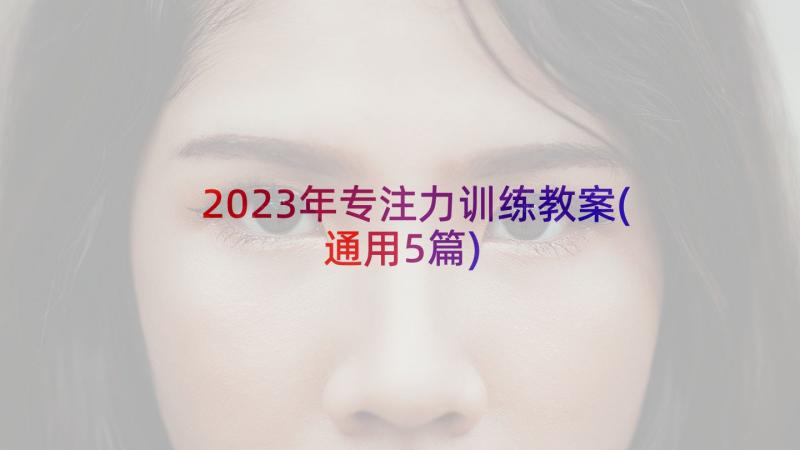 2023年专注力训练教案(通用5篇)