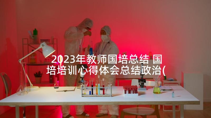 2023年教师国培总结 国培培训心得体会总结政治(通用5篇)