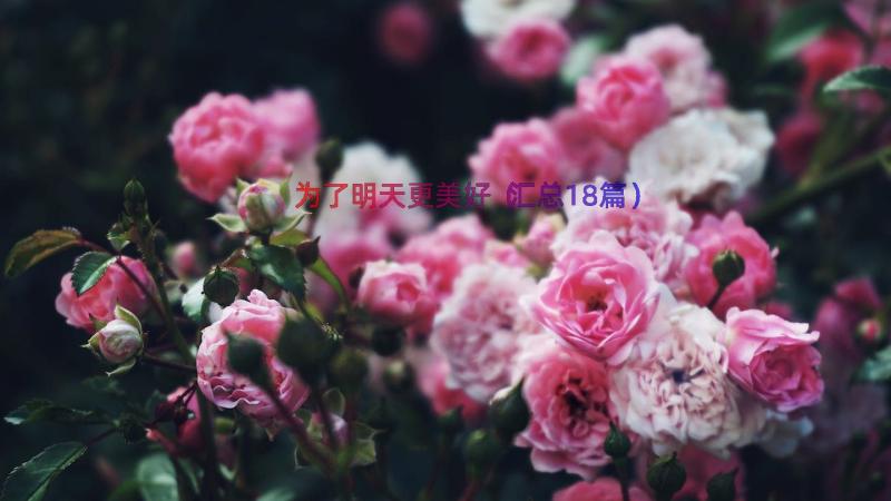 为了明天更美好（汇总18篇）