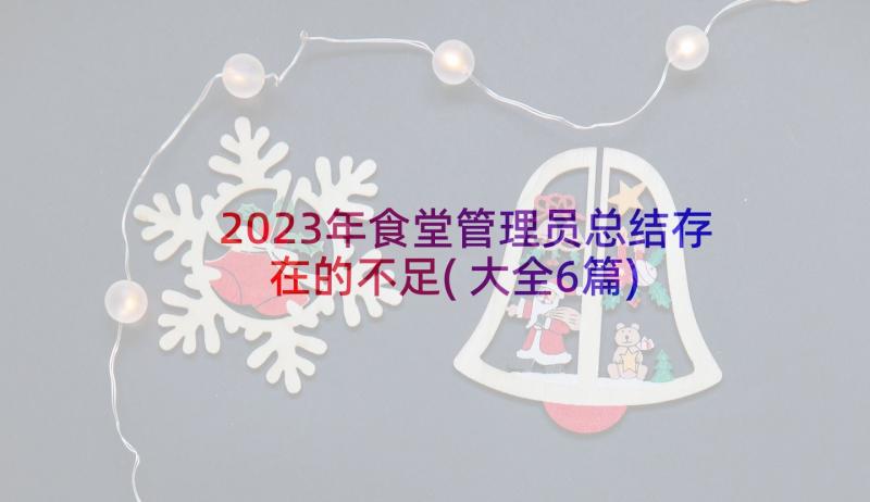 2023年食堂管理员总结存在的不足(大全6篇)