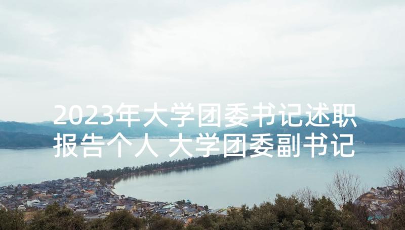 2023年大学团委书记述职报告个人 大学团委副书记述职报告(汇总5篇)