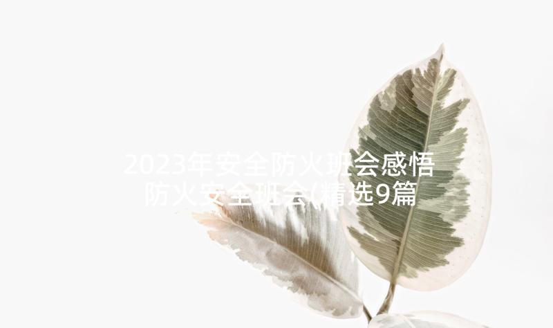 2023年安全防火班会感悟 防火安全班会(精选9篇)