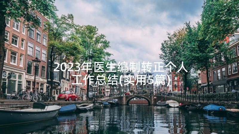 2023年医生编制转正个人工作总结(实用5篇)