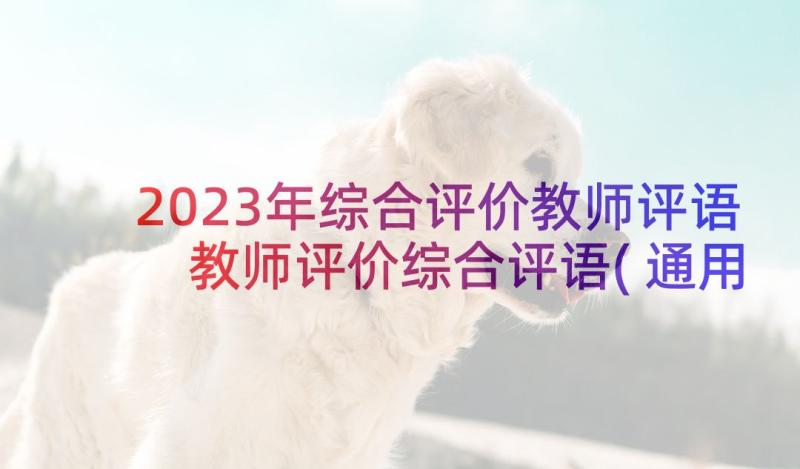 2023年综合评价教师评语 教师评价综合评语(通用9篇)