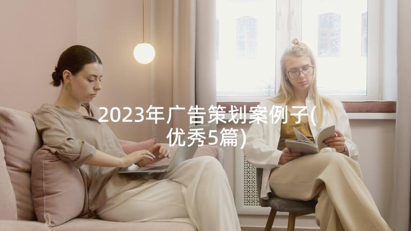 2023年广告策划案例子(优秀5篇)