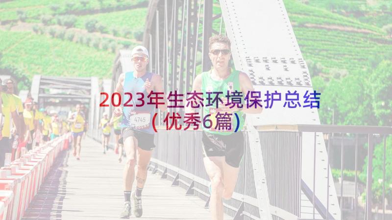 2023年生态环境保护总结(优秀6篇)