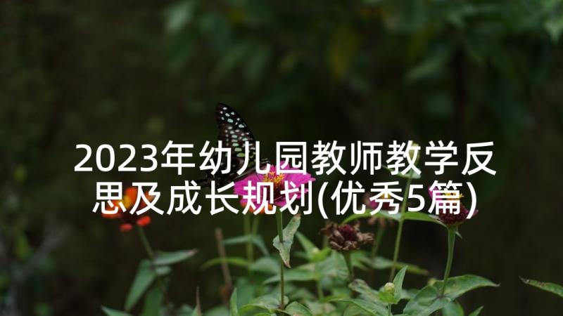 2023年幼儿园教师教学反思及成长规划(优秀5篇)