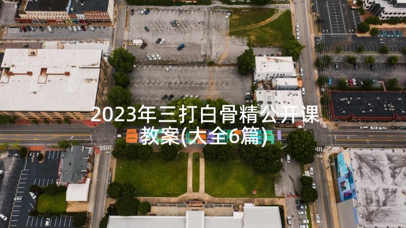 2023年三打白骨精公开课教案(大全6篇)