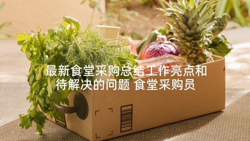 最新食堂采购总结工作亮点和待解决的问题 食堂采购员人员工作总结(精选5篇)