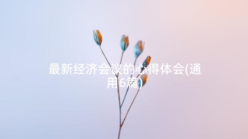 最新经济会议的心得体会(通用6篇)