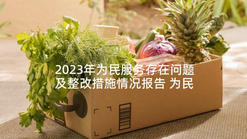 2023年为民服务存在问题及整改措施情况报告 为民服务方面存在的问题及整改措施(汇总5篇)