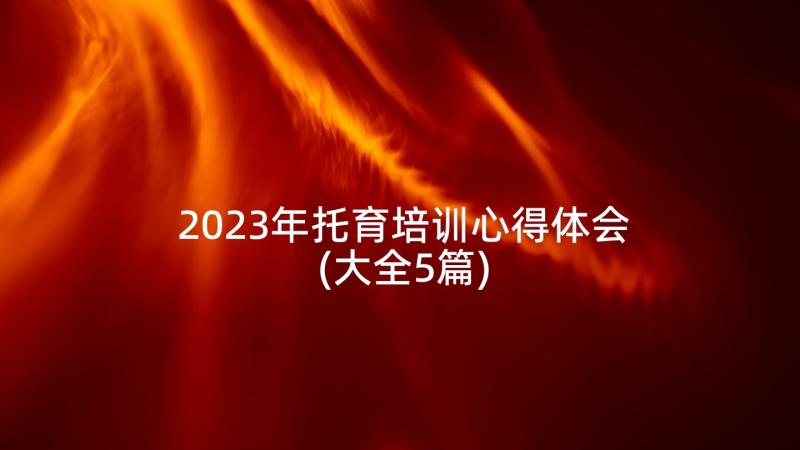 2023年托育培训心得体会(大全5篇)