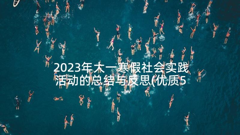 2023年大一寒假社会实践活动的总结与反思(优质5篇)