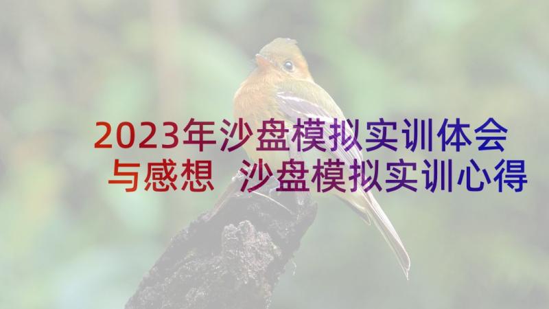 2023年沙盘模拟实训体会与感想 沙盘模拟实训心得体会(模板9篇)