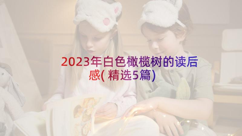 2023年白色橄榄树的读后感(精选5篇)