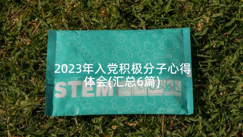 2023年入党积极分子心得体会(汇总6篇)