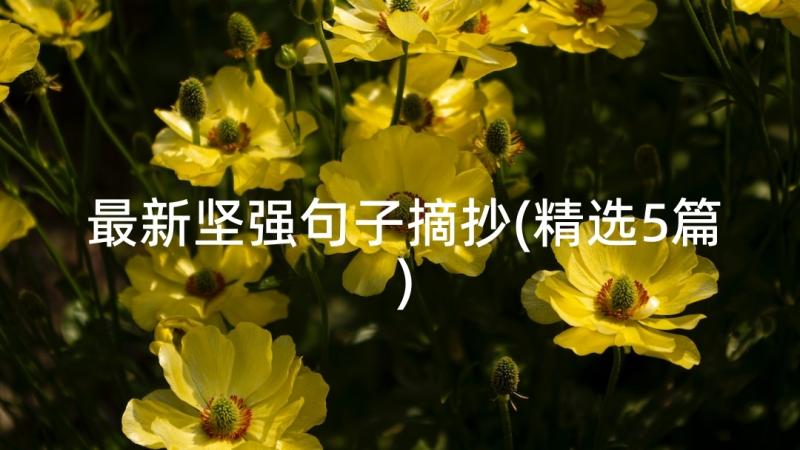 最新坚强句子摘抄(精选5篇)