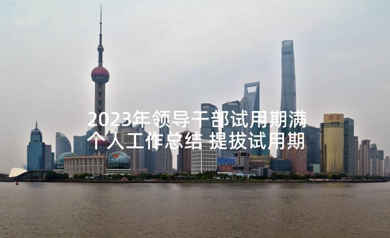 2023年领导干部试用期满个人工作总结 提拔试用期满个人工作总结(模板9篇)