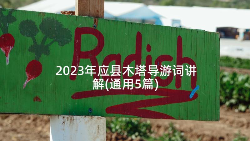 2023年应县木塔导游词讲解(通用5篇)