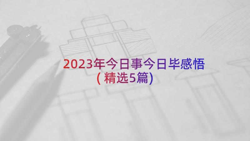 2023年今日事今日毕感悟(精选5篇)