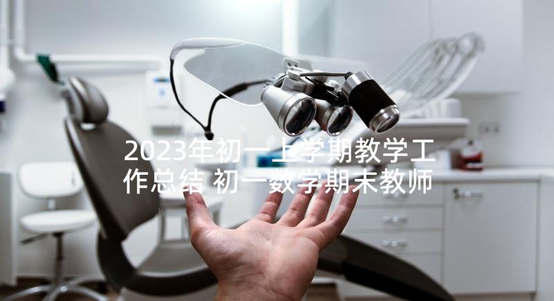 2023年初一上学期教学工作总结 初一数学期末教师工作总结与反思(精选5篇)