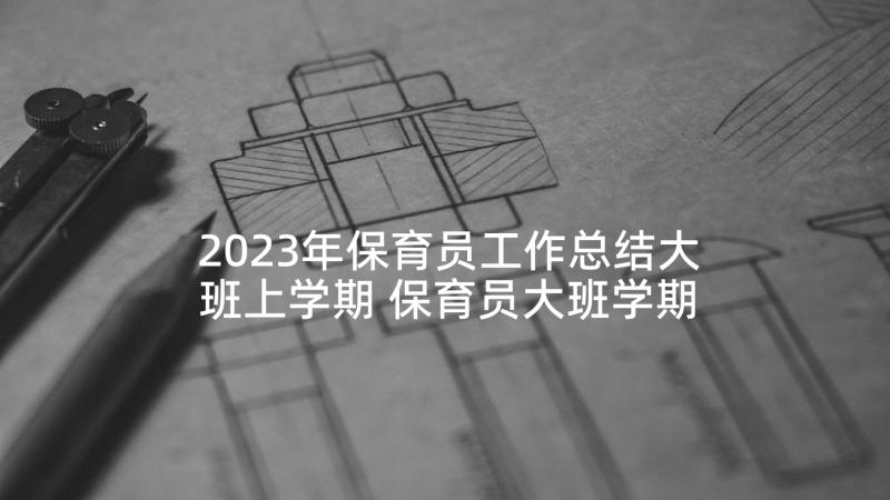 2023年保育员工作总结大班上学期 保育员大班学期工作总结(精选5篇)