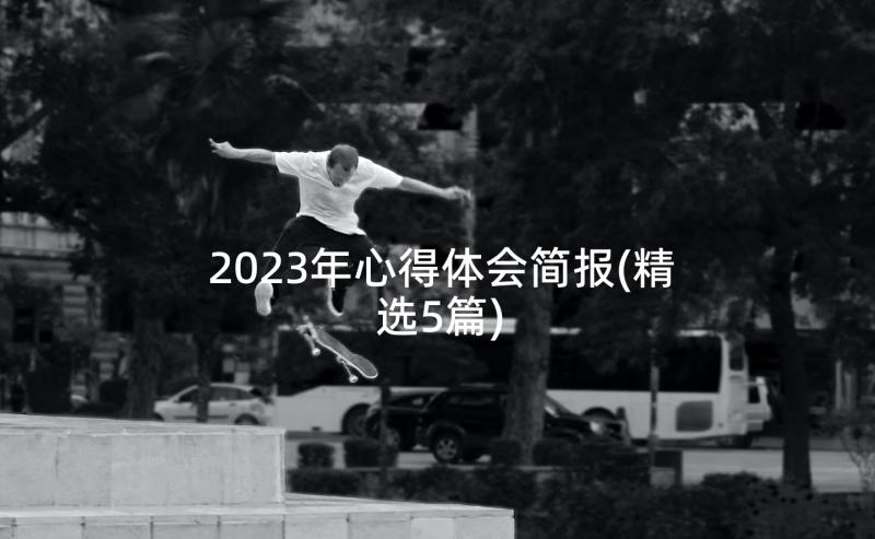 2023年心得体会简报(精选5篇)