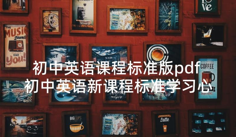 初中英语课程标准版pdf 初中英语新课程标准学习心得(实用5篇)