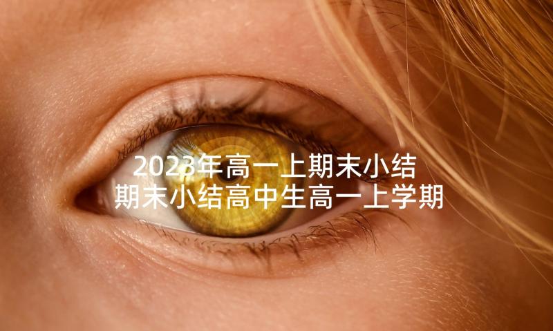 2023年高一上期末小结 期末小结高中生高一上学期(通用5篇)