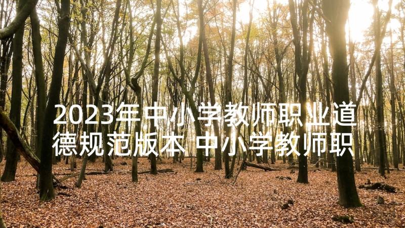 2023年中小学教师职业道德规范版本 中小学教师职业道德规范心得(优秀6篇)