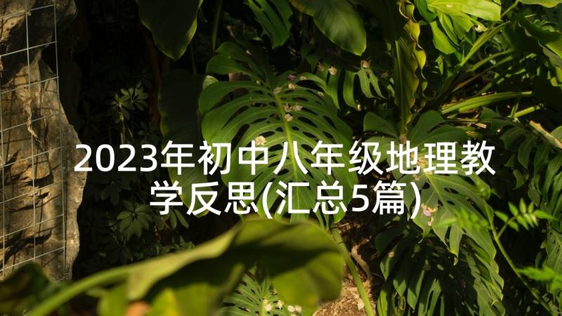 2023年初中八年级地理教学反思(汇总5篇)