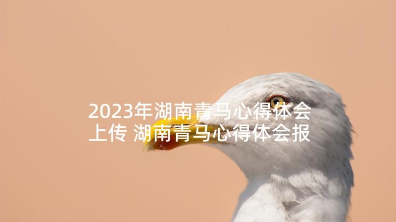 2023年湖南青马心得体会上传 湖南青马心得体会报告(实用5篇)