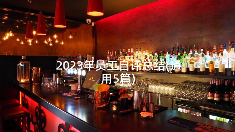 2023年员工自评总结(通用5篇)