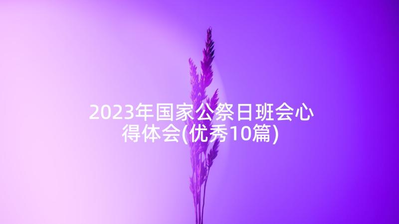 2023年国家公祭日班会心得体会(优秀10篇)