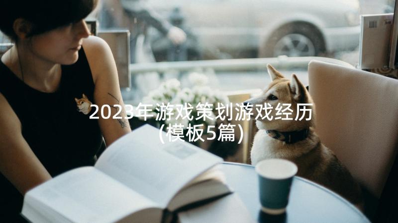 2023年游戏策划游戏经历(模板5篇)